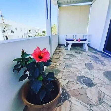 Paros Center Houses